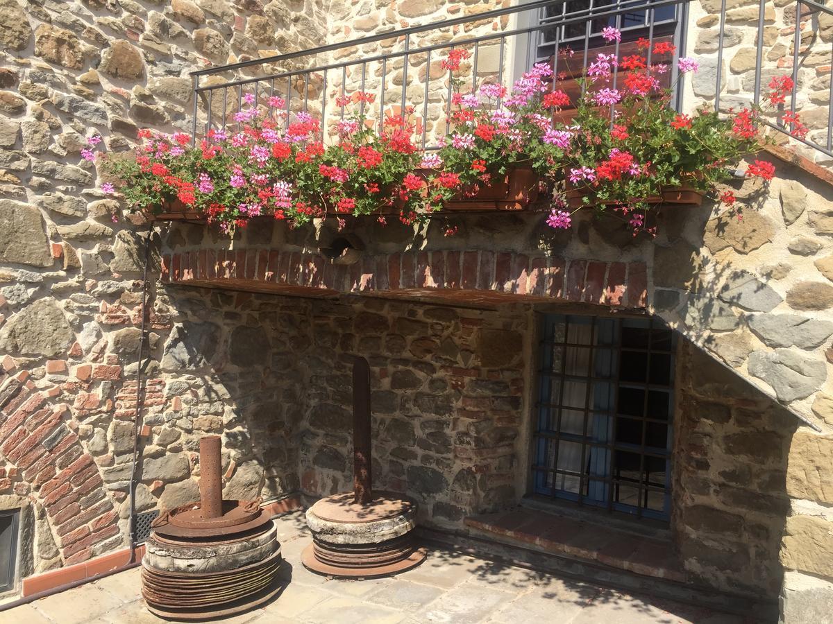 Podere Jana Antico Frantoio Vinci Extérieur photo